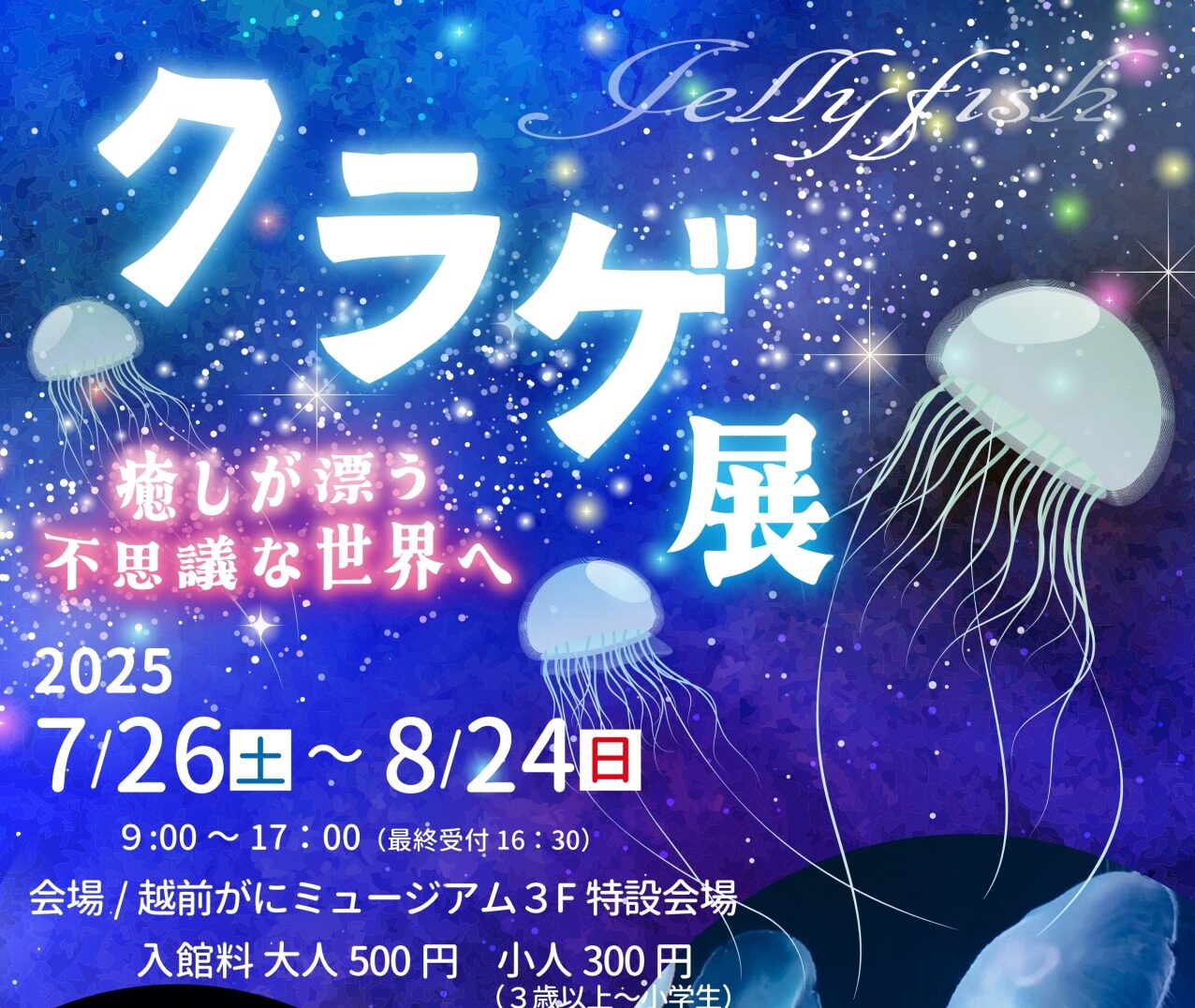 【越前町エリア】クラゲ展2025 ～癒しが漂う不思議な世界へ～