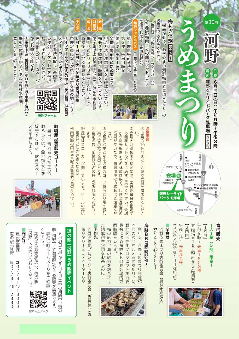 【南越前町エリア】第30回河野うめまつり