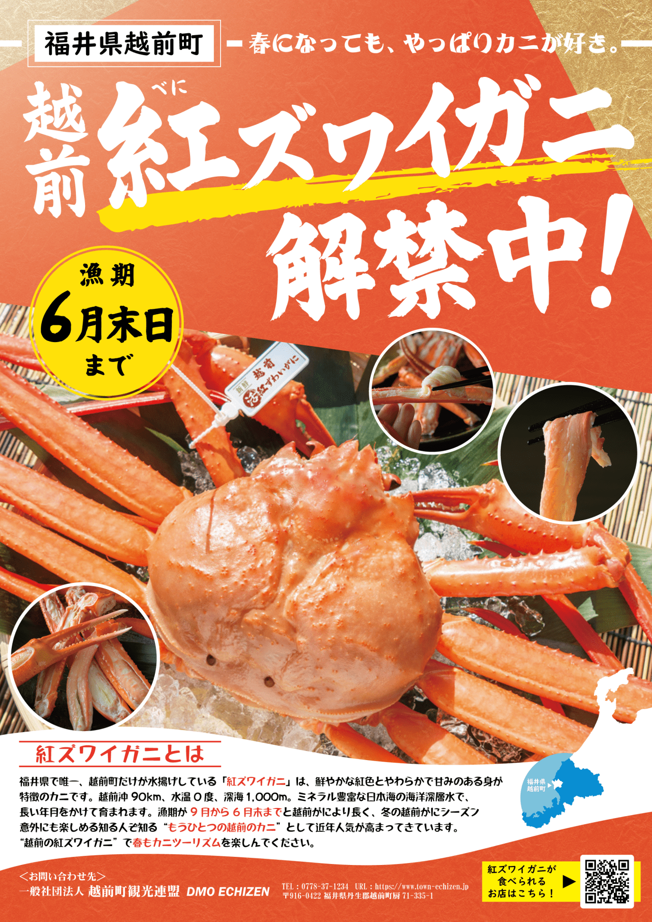 【越前町エリア】紅ズワイガニ解禁中！